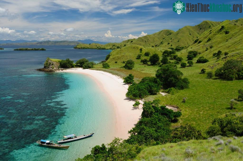 Komodo