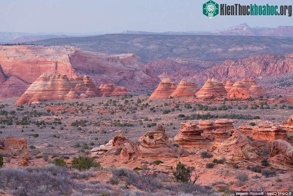 Khu vực Nam Coyote Buttes ở Utah trong ánh bình minh.