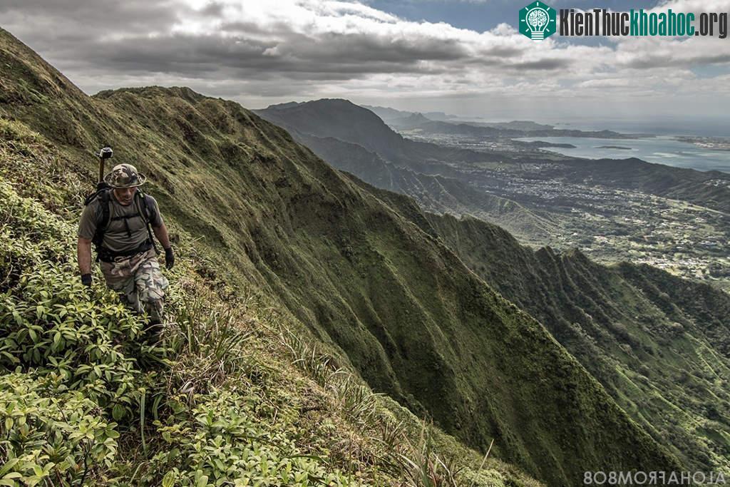Koolau, Hawaii