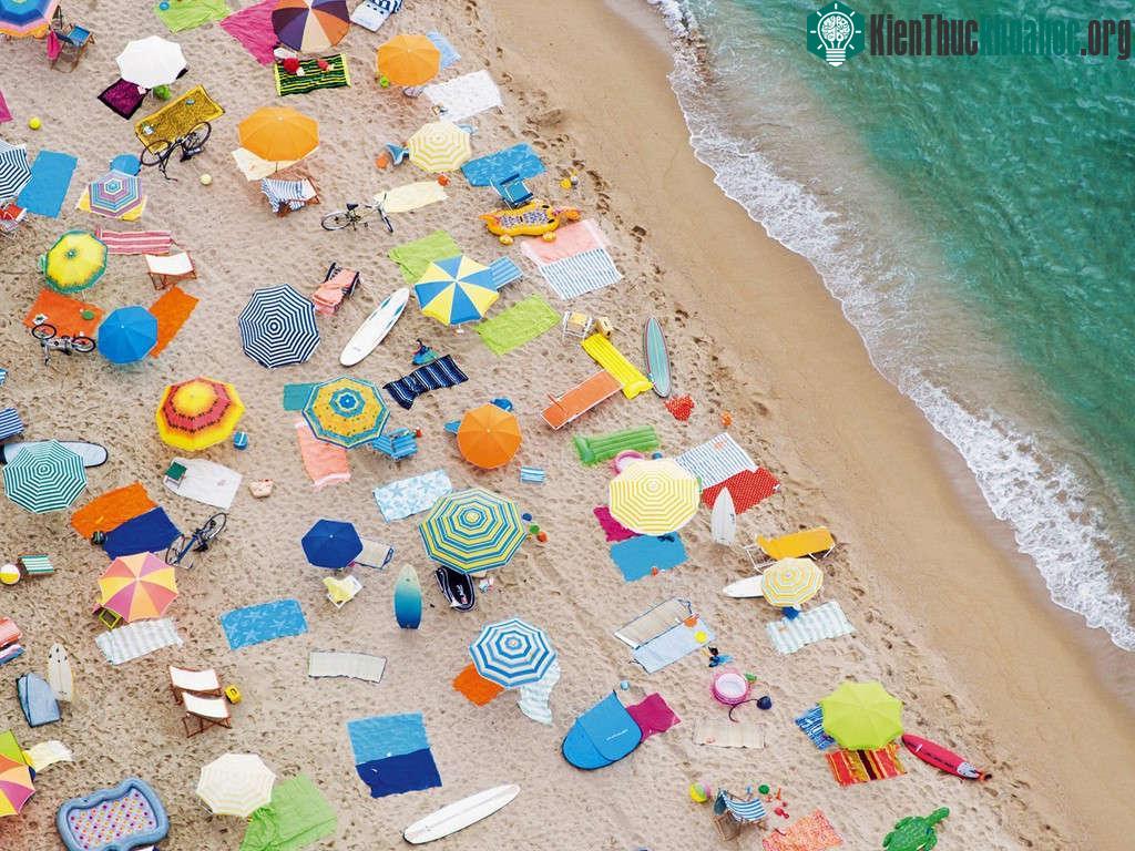 Những chiếc ô rực rỡ ở Barcelona, Tây Ban Nha.