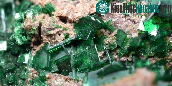 Torbernite