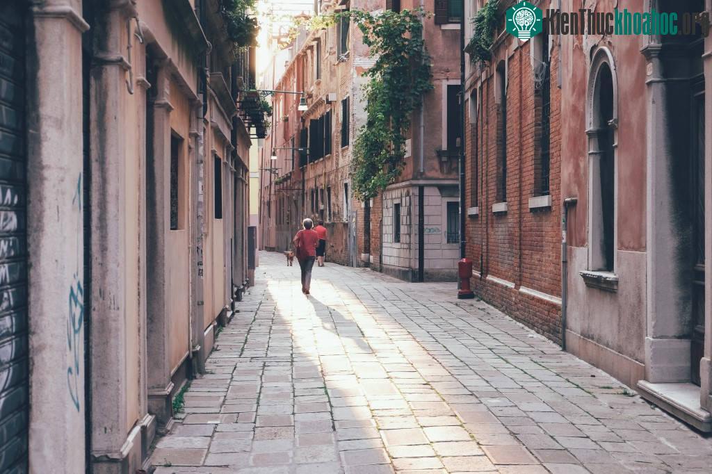 Các con phố ở Venice, Italy: Toàn bộ đường phố của thành cổ Venice đều vắng bóng xe cộ.