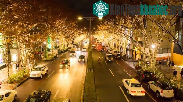 Choáng ngợp với cách trang trí Noel cực ảo diệu trên khắp năm châu ảnh 61
