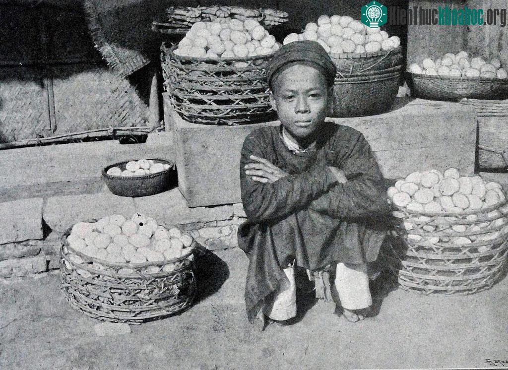 Thanh niên trẻ bên những thúng khoai chất cao