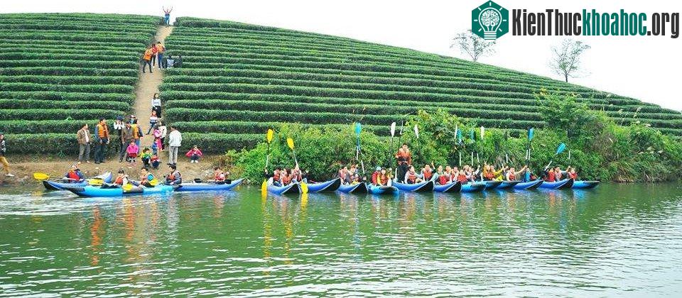Khi ngồi thuyền dạo chơi đảo chè, bạn nên mặc áo phao và không vượt quá số người quy định mỗi thuyền.