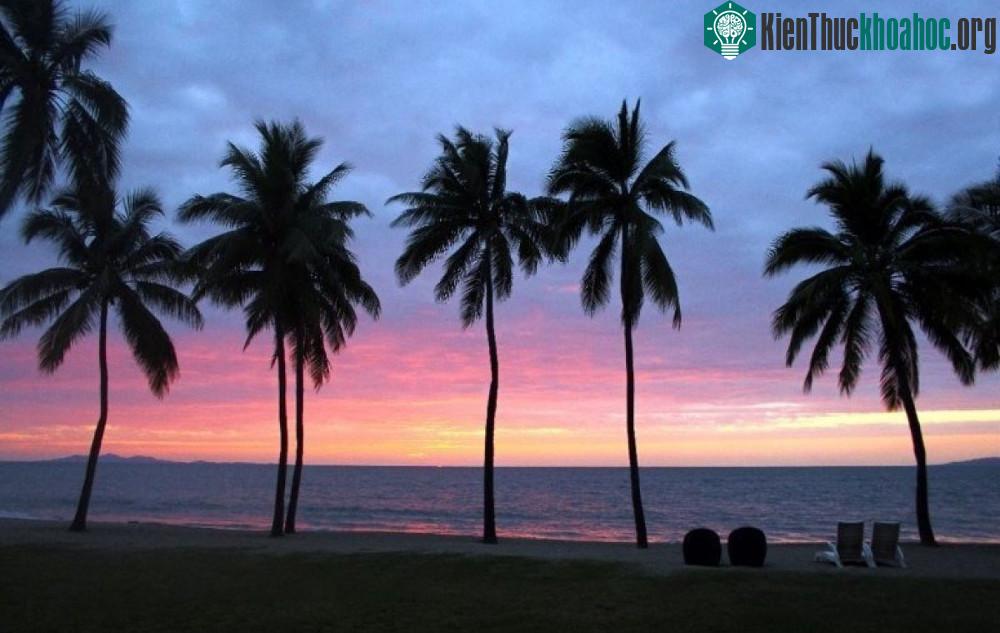 Tại Fiji, chưa bao giờ có tuyết rơi. Thứ bạn thường xuyên nhìn thấy ở đây là ánh nắng ấm áp của mặt trời.