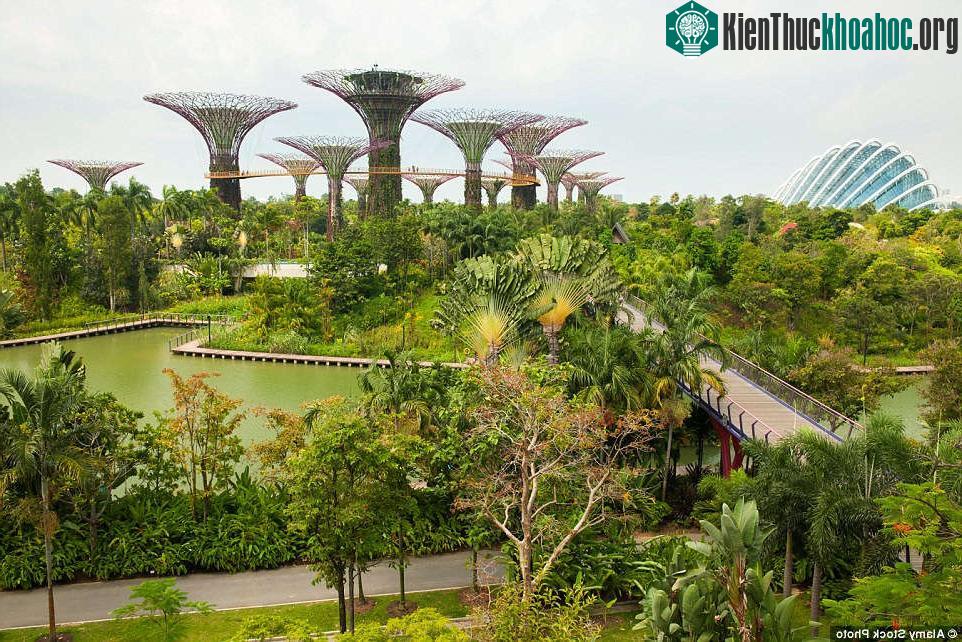 Garden by the Bay, Singapore