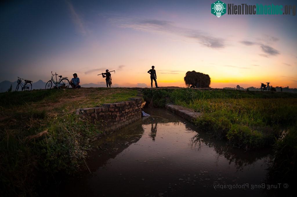 Mặt trời dần khuất sau rặng tre, người nông dân thu dọn nông cụ, nghỉ ngơi bên bờ ruộng, hưởng những làn gió mát lạnh xua đi bao nỗi vất vả lo âu. Một vụ mùa nữa lại qua.