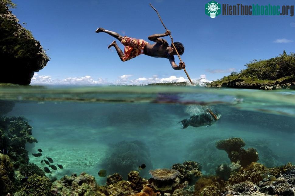 New Caledonia vốn nổi tiếng với những đồ gốm sứ, nó cũng là một cộng đồng dân cư của Pháp ở đông nam Thái Bình Dương.