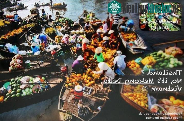 Muốn biết cảm giác đi chợ nổi, đừng đến Thái Lan. Hãy đến ngay đồng bằng Sông Cửu Long thôi, bạn cũng sẽ có trải nghiệm tuyệt vời ấy.