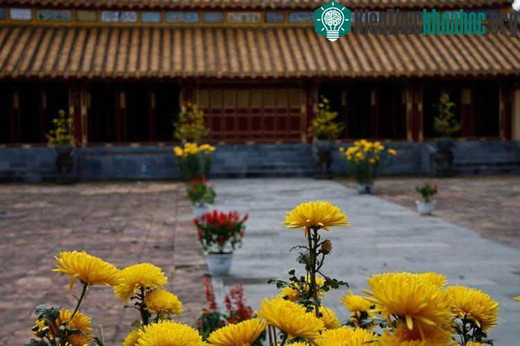 Hoa Tết ở lăng Thiệu Trị, Huế.