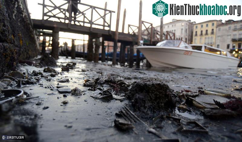 Chính quyền thành phố Venice lại không quan tâm nhiều tới việc cải tạo các kênh đào.