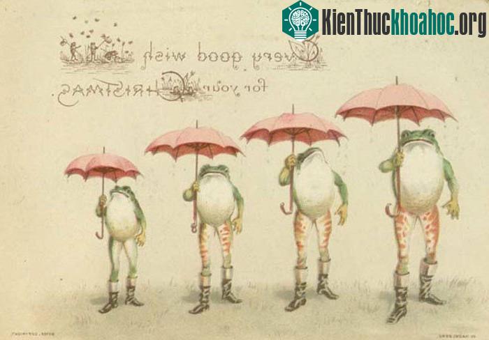 Những chú ếch xanh may mắn trong tấm thiệp này trông... ghê ghê.