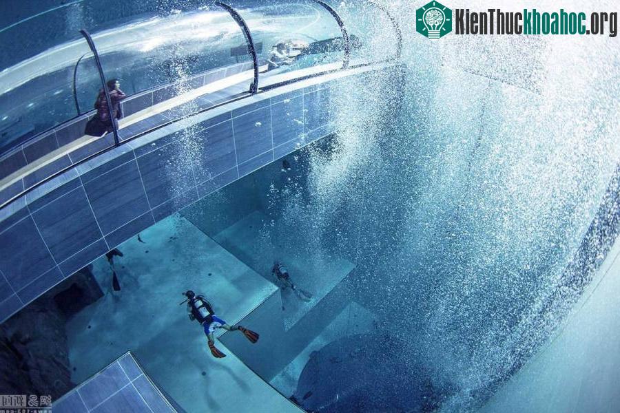 Thực tế, nước trong bể được giữ ở 32 độ C do có nguồn nước nóng.
