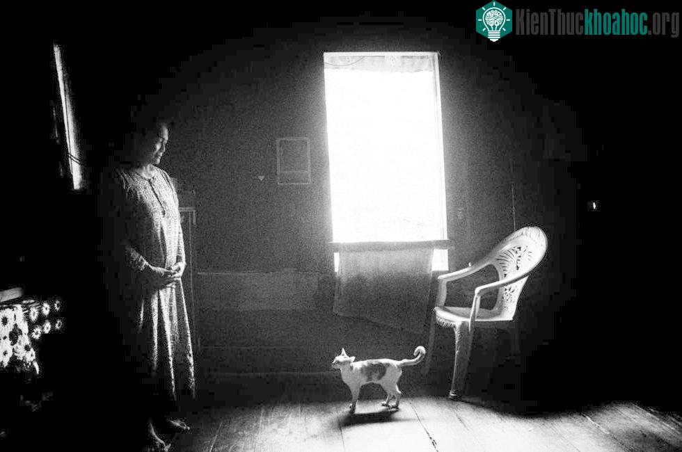 Bà Lonely Asnah cô độc trong ngôi nhà cùng chú mèo. Con trai bà đã tới thành phố tìm cơ hội lập nghiệp. Căn nhà bà đang ở xuống cấp tới mức nguy hiểm nhưng Asnah chưa thể gia cố hay tìm được nơi ở ...