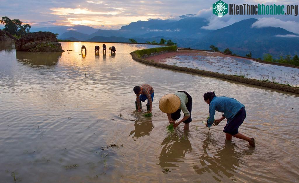 Đồng bào dân tộc nơi đây vẫn giữ nguyên bản sắc, từ trang phục đến nét văn hóa, tập tục và cả sự chân chất, hồn nhiên, hiếu khách.