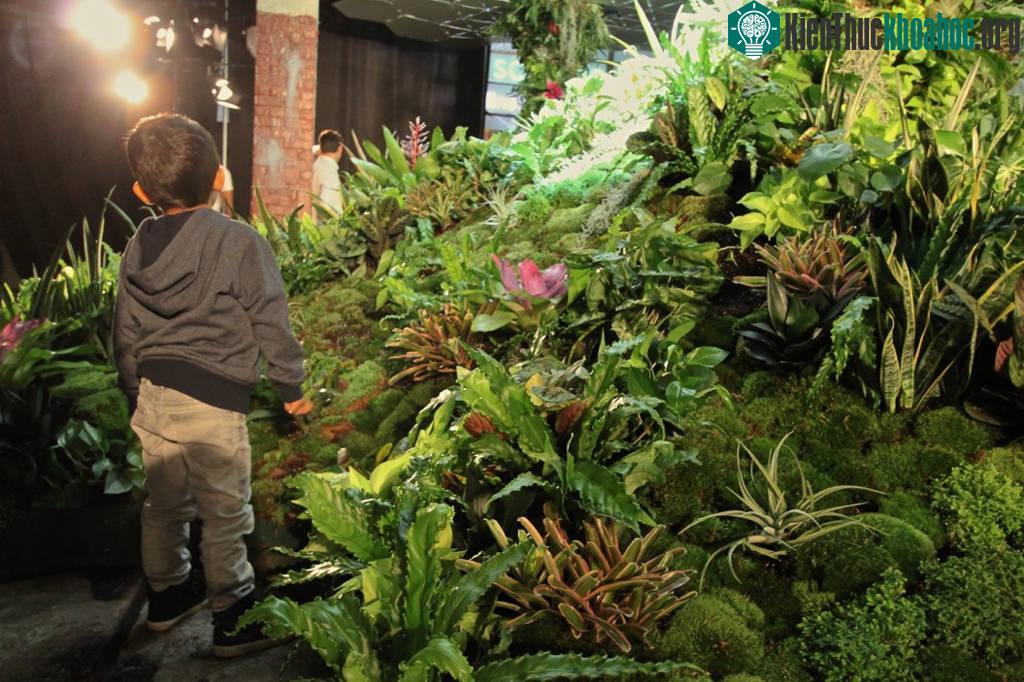 Bên cạnh đó, Lowline cũng sẽ tổ chức các lớp học thể dục cũng như tạo ra không gian cá nhân cho người tham gia.