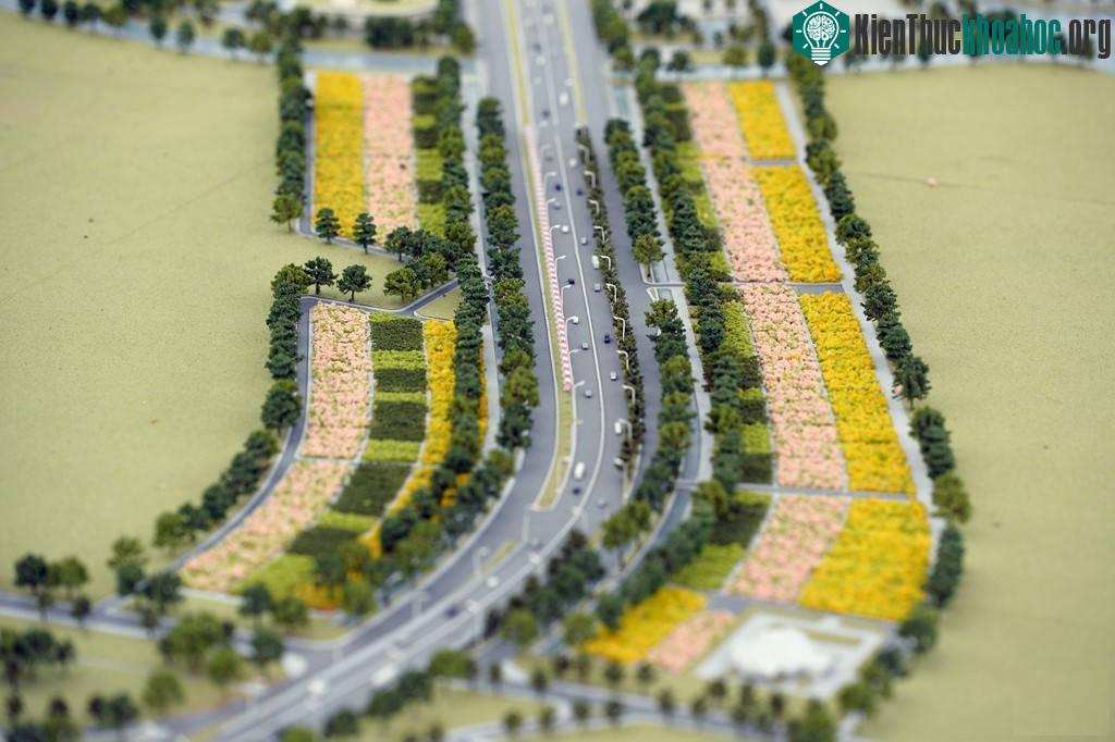 Đây là cửa ngõ Việt Nam và thế giới, tạo hình ảnh tuyến đường có môi trường xanh bền vững với dải phân cách trải dài hai bên và đan xen không gian cây xanh mặt nước tự nhiên.