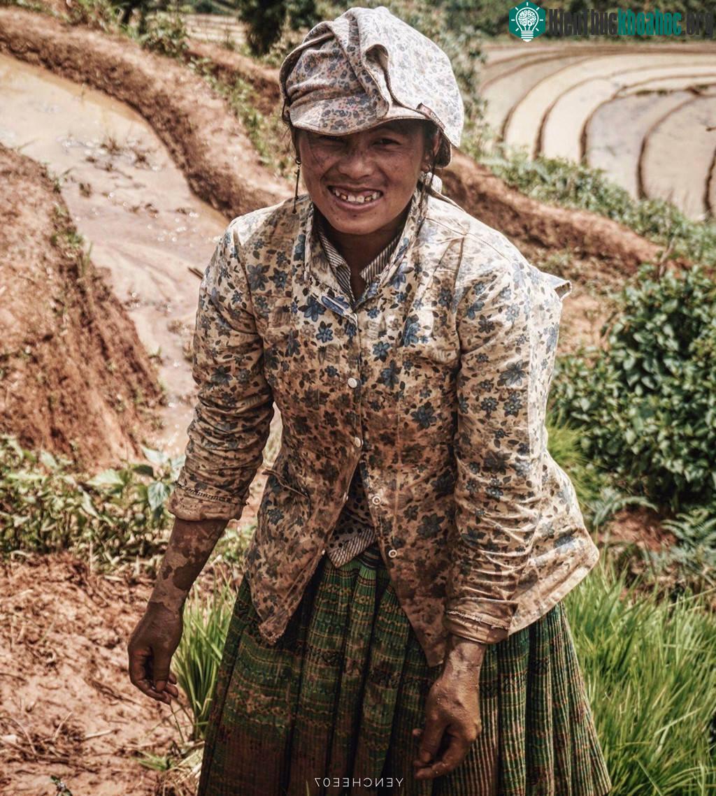 Nụ cười trong veo mùa cấy lúa.