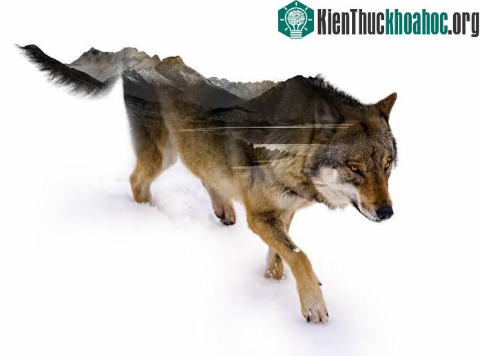 Chiêm ngưỡng những bức ảnh phơi sáng kép đẹp đến ngỡ ngàng ảnh 8