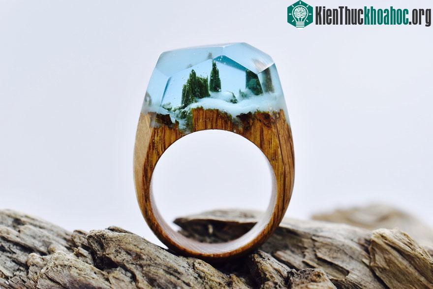 Những chiếc nhẫn gỗ thu cả thế giới vào trong ảnh 8
