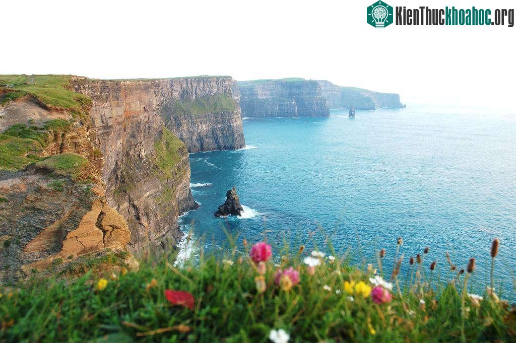 Vách đá Moher, Ireland
