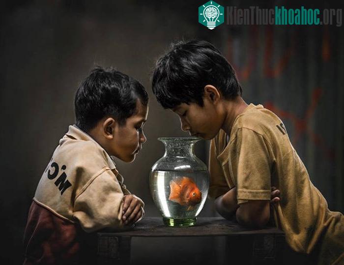 Bộ ảnh ban đầu được Abe Less chia sẻ lên trang 500px, sau đó được một số diễn đàn về ảnh, kỹ thuật số nổi tiếng ở Việt Nam đăng tải lại.