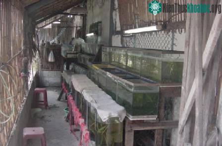 Biết về cá của mình (phần 1) ảnh 9