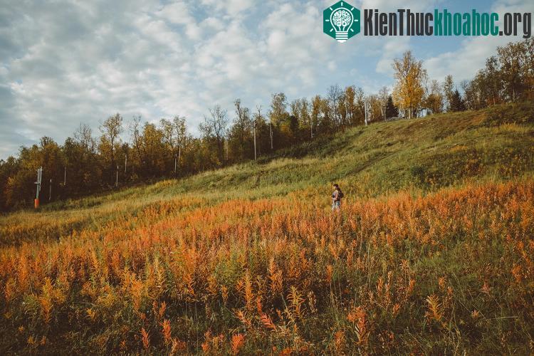 Nhưng tất cả đều phải thay đổi, con người cũng vậy. Điều quan trọng là chúng ta tìm thấy ở đó những vẻ đẹp mới. K