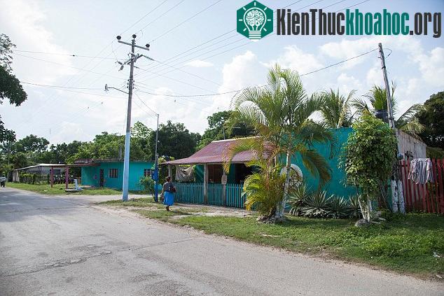 Nơi họ sống là một khu ổ chuột, vì không ai muốn ở trên mảnh đất này nên họ mới có nơi sinh sống.