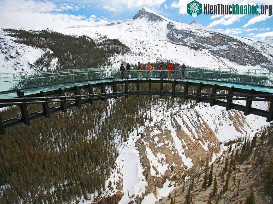Cầu kính Glacier (sông băng) - Canada