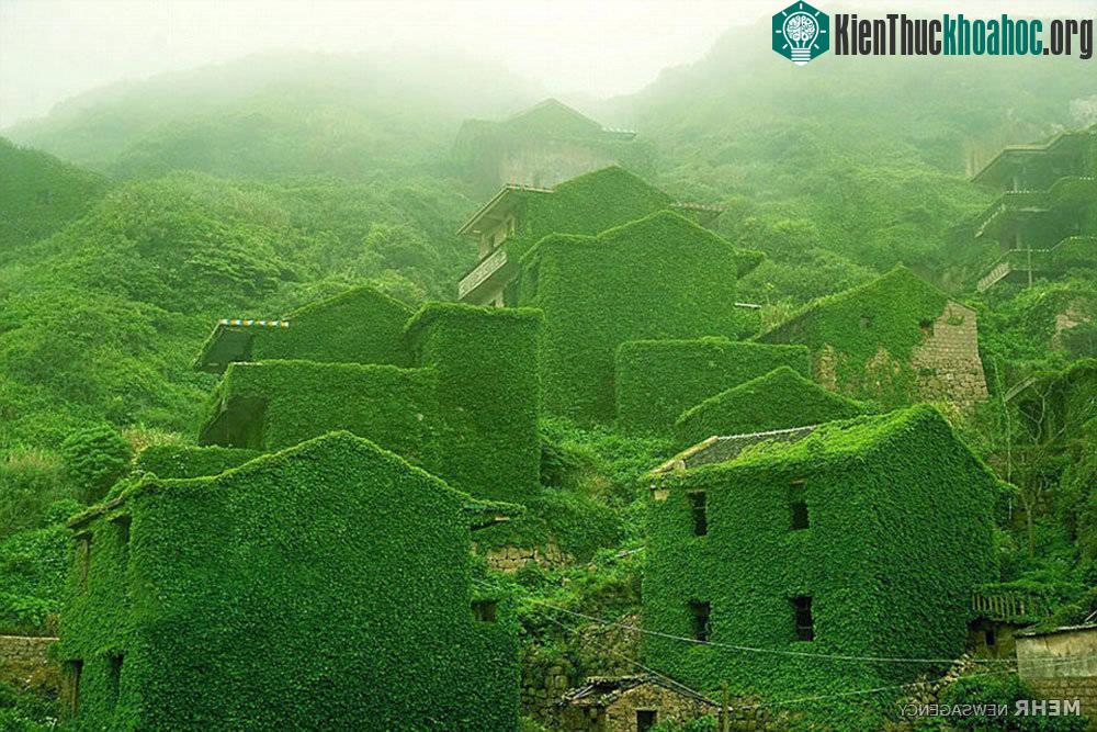 Làng chày bỏ hoang Shengsi, Trung Quốc