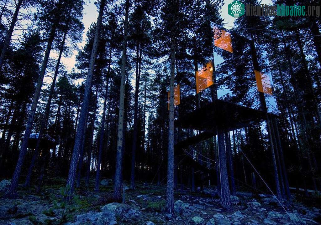 Gần như vô hình và hoàn hảo để trú ẩn, Mirror House là một phần của dự án Tree Hotel ở miền Bắc Thụy Điển. Quá tuyệt vời nhưng e là các loài chim có thể sẽ đâm sầm vào kính mất.