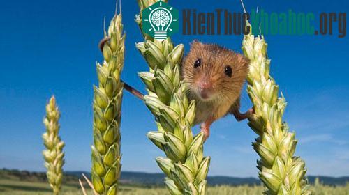 Góc nhìn cận vào ống kính máy ảnh - (Ảnh: Barcfrot)