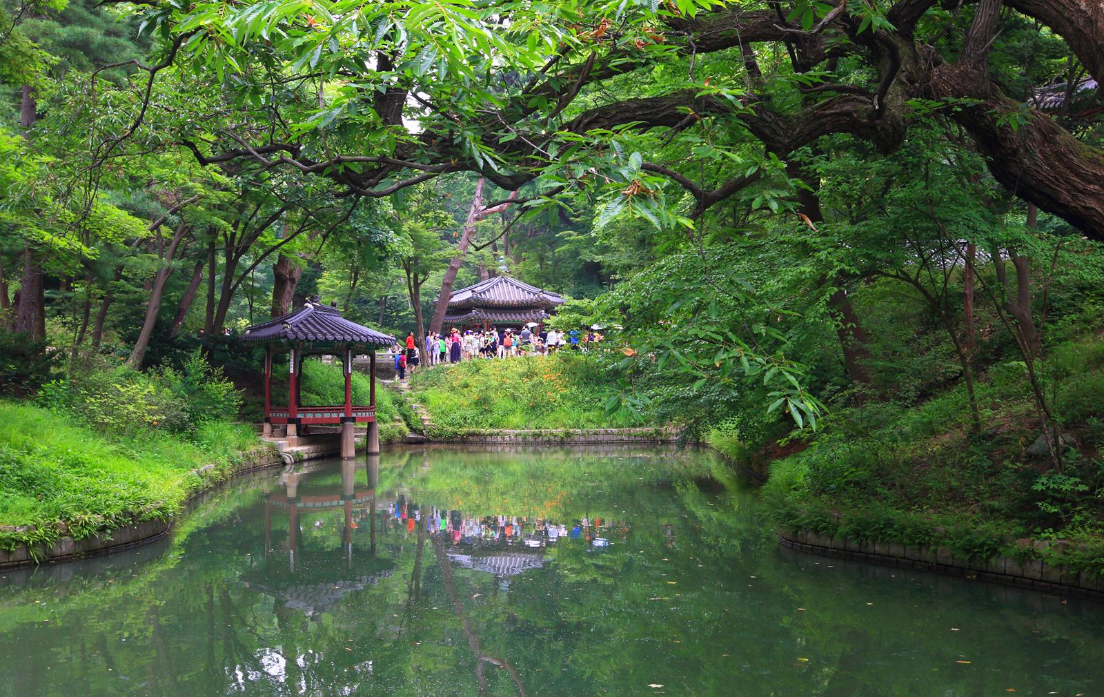 Khám phá khu vườn Biwon thuộc cung Changdeokgung ở Hàn Quốc