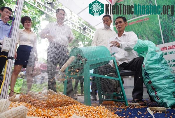 Nông dân "trình diễn" sản phẩm tại chợ khoa học