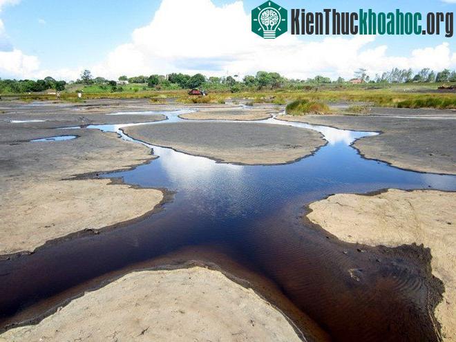 Hồ Hắc ín nằm trong làng La Brea ở phía tây nam đảo Trinidad thuộc vùng biển Caribbe. Nó là hồ hắc ín lớn nhất và quan trọng nhất thế giới, với diện tích khoảng 41 hecta. Độ sâu ở trung tâm của hồ ...