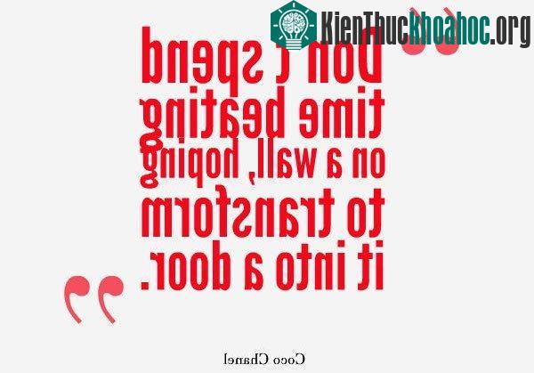 1. "Đừng phí thời gian gõ vào một bức tường và hy vọng biến nó thành một cánh cửa"&nbsp;- Coco Chanel