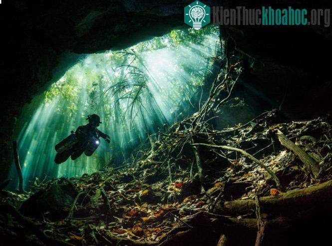 Thợ lặn tại hố sụt tự nhiên Bill's Hole, Mexico - Ảnh đoạt giải cao nhất của cuộc thi