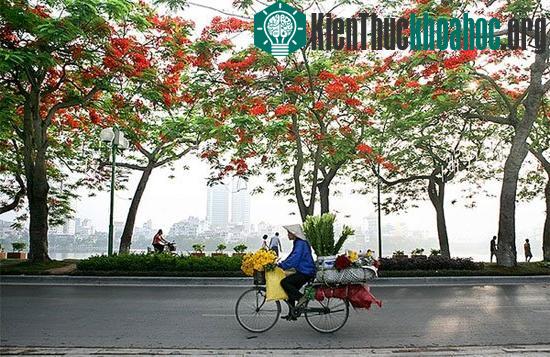 Những gánh hàng rong - hình ảnh quá thân quen với những người Hà Nội