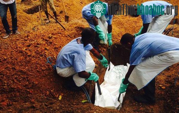 Tổ chức Y tế Thế giới (WHO) ngày 19/8 thông báo, số người chết vì dịch bệnh Ebola ở Guinea, Liberia, Sierra Leone và Nigeria là 1.229 người, với 84 trường hợp tử vong mới được báo cáo từ 14-16/8. C...