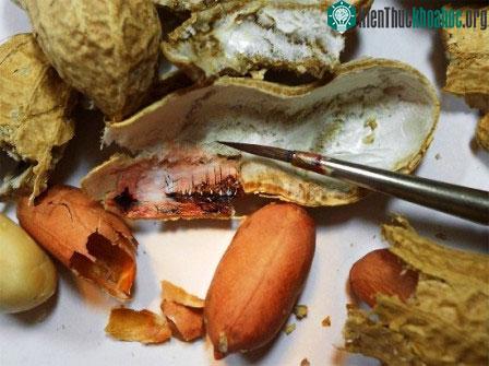 Kiệt tác nghệ thuật siêu nhỏ trên thực phẩm