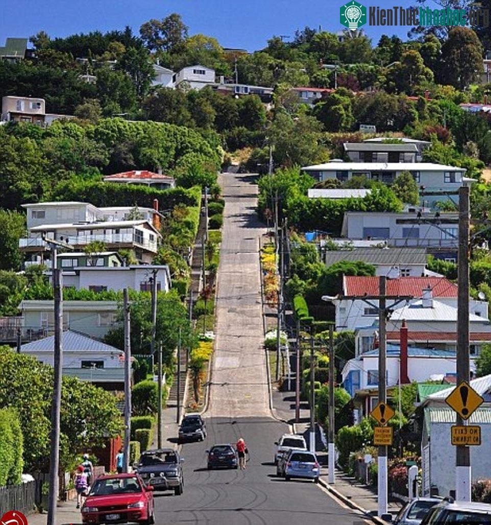 Đường Baldwin, Dunedin, New Zealand – con đường dốc nhất thế giới