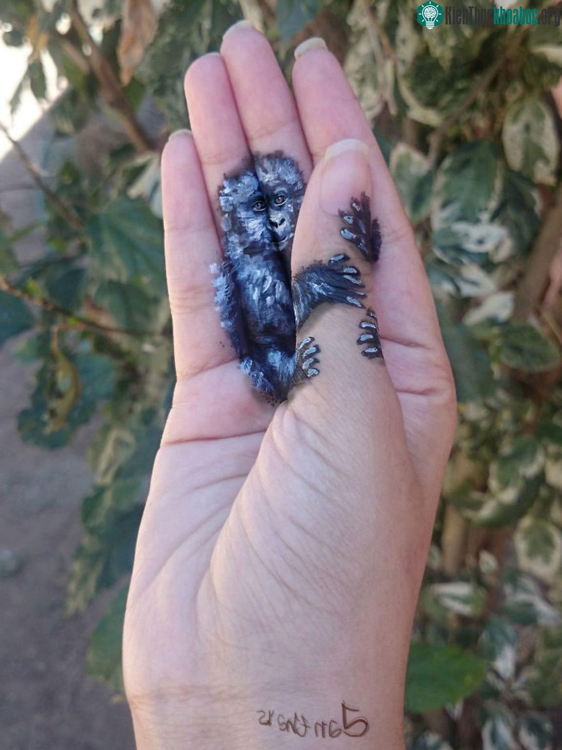 Chú khỉ nhỏ xinh ngại ngùng ôm chặt lấy ngón tay Iantha.