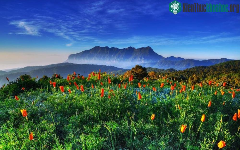 Chiang Dao, Thái Lan