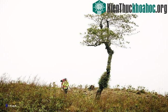 Chúng tôi bắt đầu cuộc hành trình chinh phục ngọn núi từ bản Nhìu Cồ San. Quãng đường từ trung tâm xã Sàng Ma Sáo vào tới bản khoảng 15 km với những con đường dốc lên dốc xuống và nhão nhoét bùn đất.