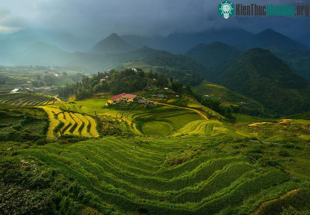 Trong cuộc thi ảnh "Your Shot" (Bức hình của bạn) do Tạp chí National Geographic tổ chức, tác phẩm chụp ruộng bậc thang Việt Nam được đánh giá cao.