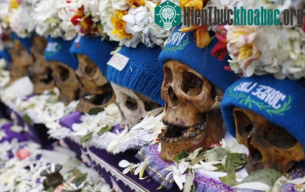 Những chiếc đầu lâu trong lễ hội "Natitas" tại Nhà thờ Lớn Cementario tại La Paz, Boliva. Đầu lâu được trang trí bằng hoa, mũ đẹp.