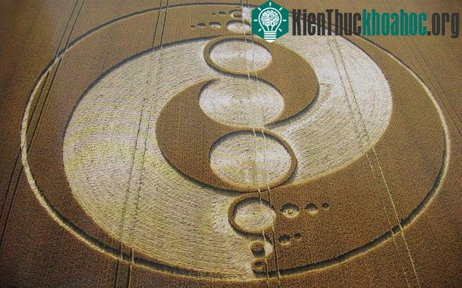 Những vòng tròn bí ẩn trên cánh đồng- ảnh 1