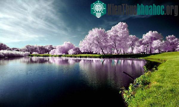 25 cảnh thiên nhiên đẹp đến không tưởng- ảnh 1
